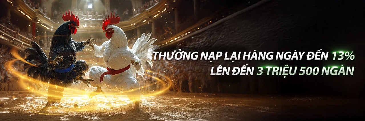 Hình ảnh tổng quan về các điều khoản dịch vụ của s6667 khuyến mãi